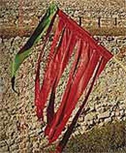 Bandera de Pinilla de Toro