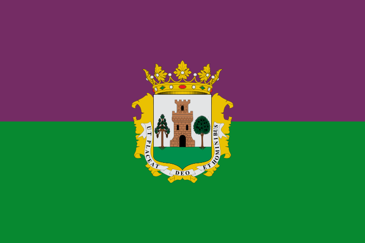 Bandera de Plasencia
