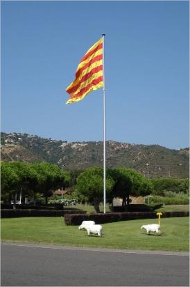 Bandera de Platja d'Aro