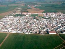 Bandera de Pueblonuevo del Guadiana
