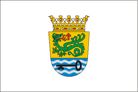 Bandera de Puerto de la Cruz