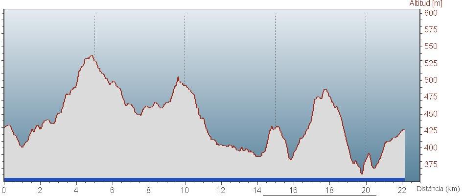Bandera de Puig-reig