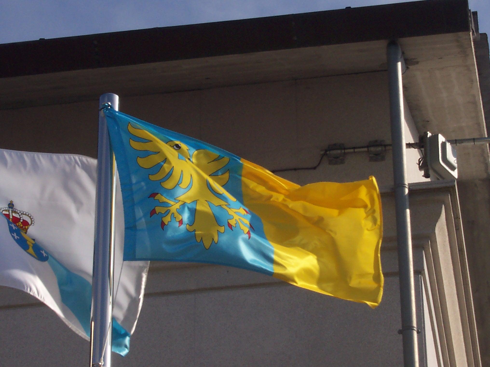 Bandera de Rábade