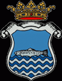 Bandera de Riaza