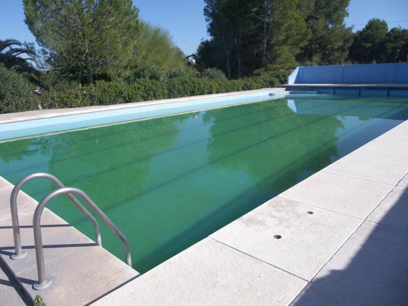 Bandera de Riba-roja de Túria