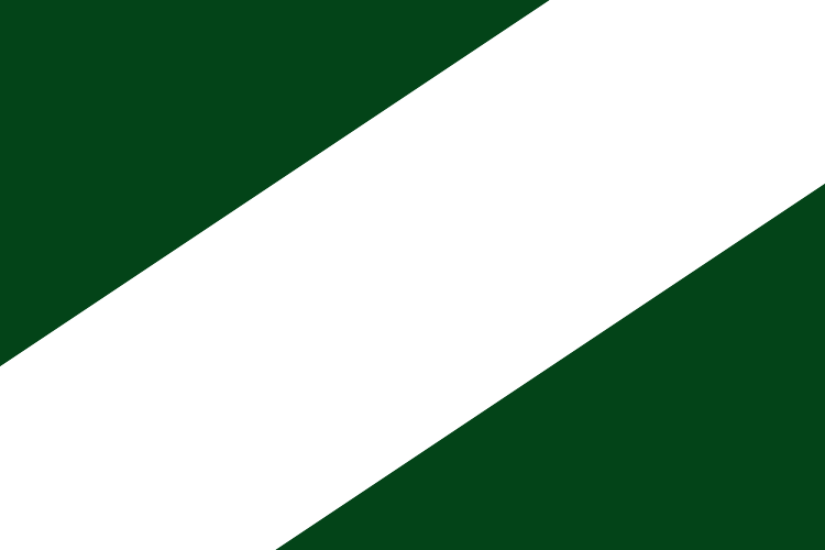 Bandera de Riells i Viabrea