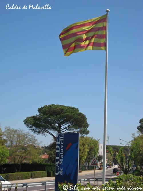 Bandera de Riudarenes