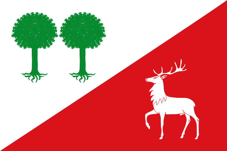 Bandera de Robleda
