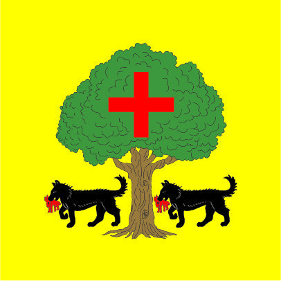 Bandera de Salceda