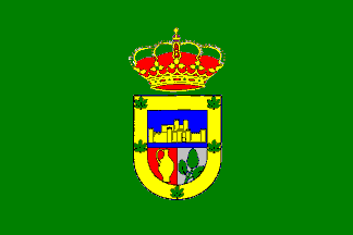 Bandera de Salvatierra