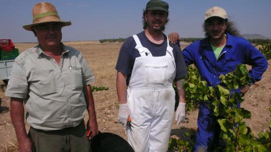Bandera de San Pablo de los Montes