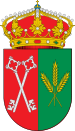 Bandera de San Pedro Bercianos