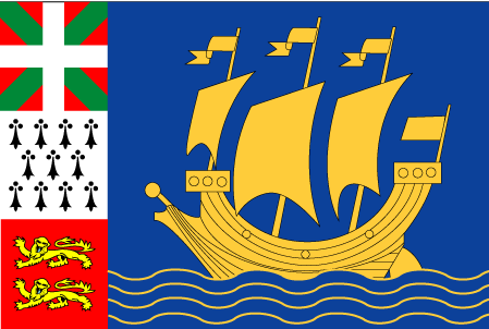 Bandera de San Pedro