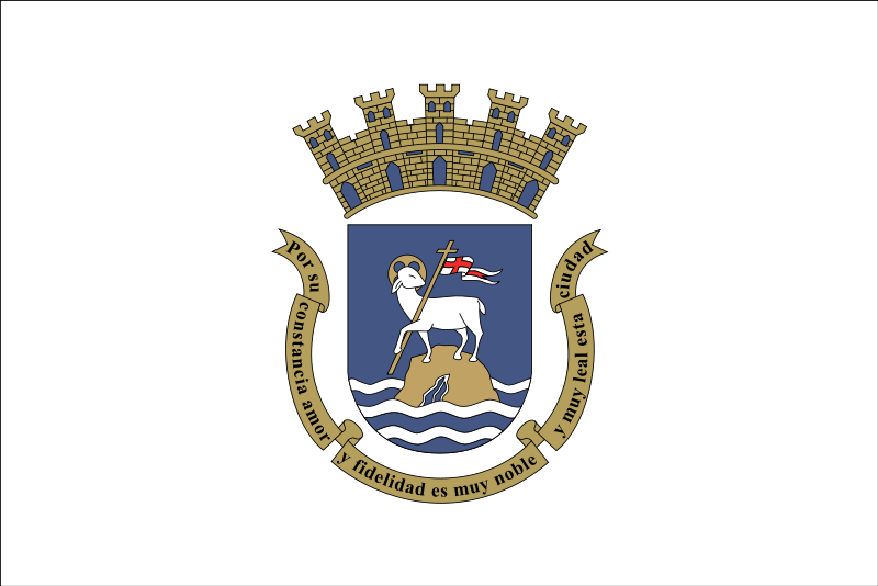 Bandera de San Xoán de Río