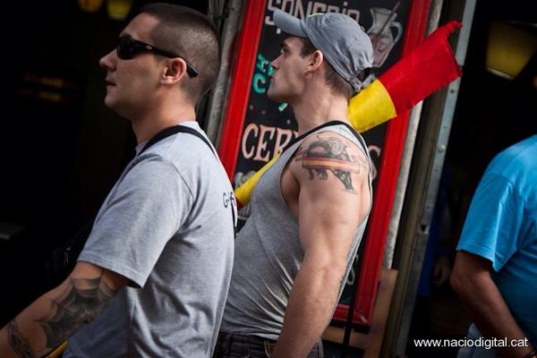 Bandera de Santa Cecília de Voltregà