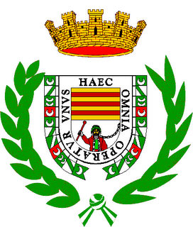 Bandera de Sedella