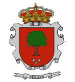 Bandera de Selaya