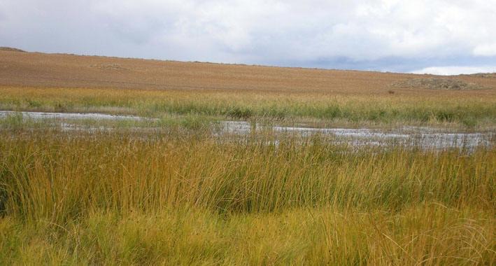 Bandera de Tordesilos
