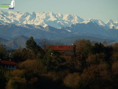 Bandera de Trasierra