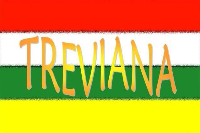 Bandera de Treviana