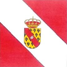Bandera de Valdevimbre