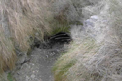 Bandera de Valjunquera