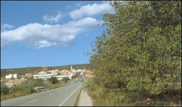 Bandera de Vall d'Alba