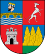 Bandera de Vidángoz