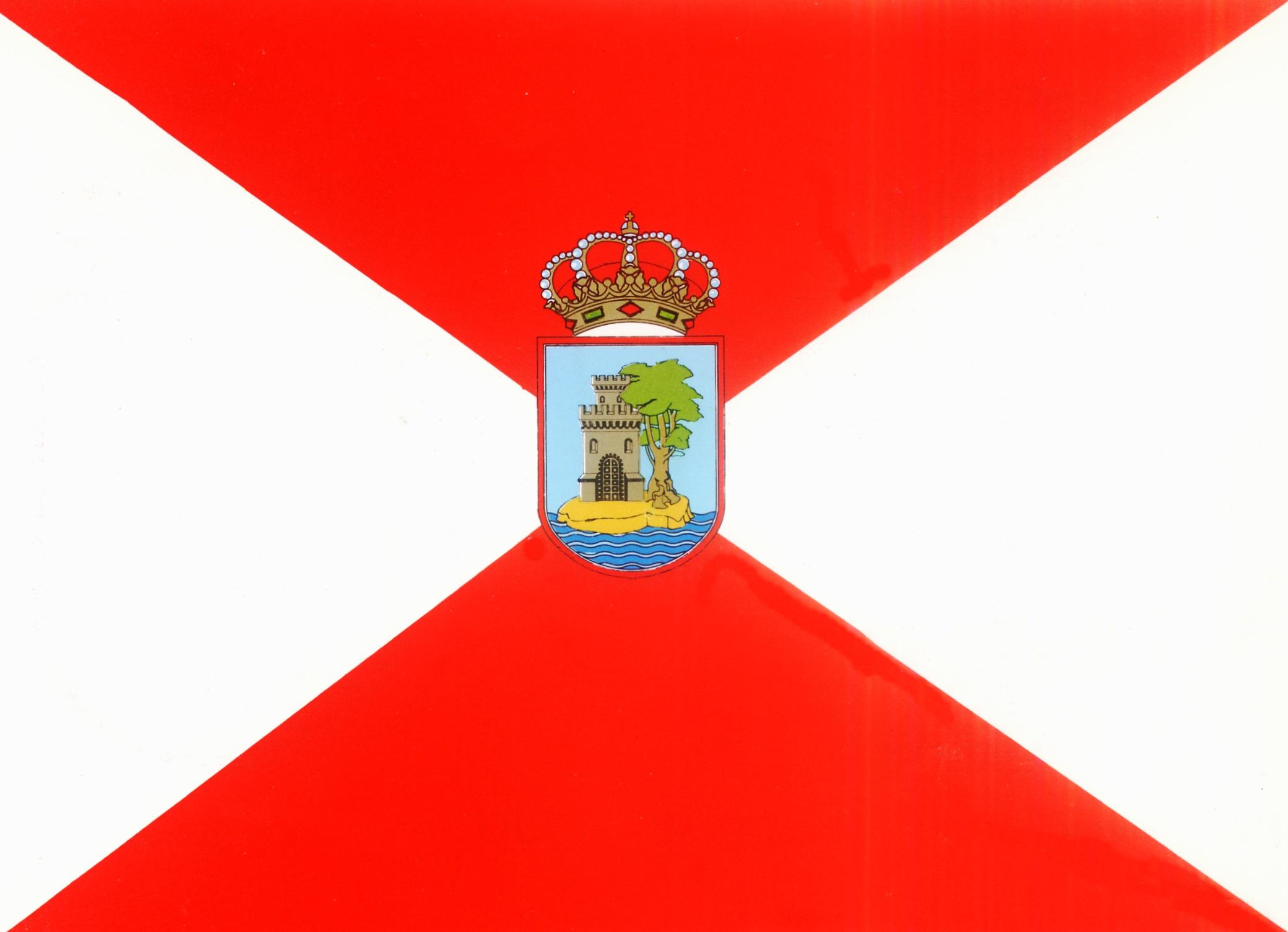 Bandera de Vigo