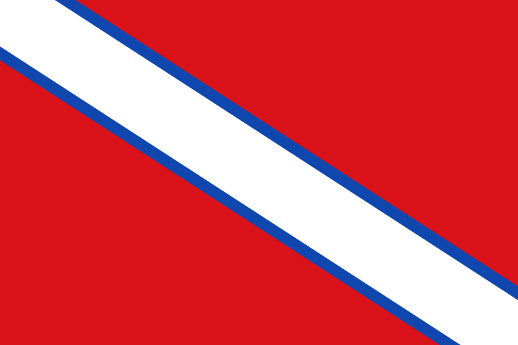 Bandera de Villar de Olalla