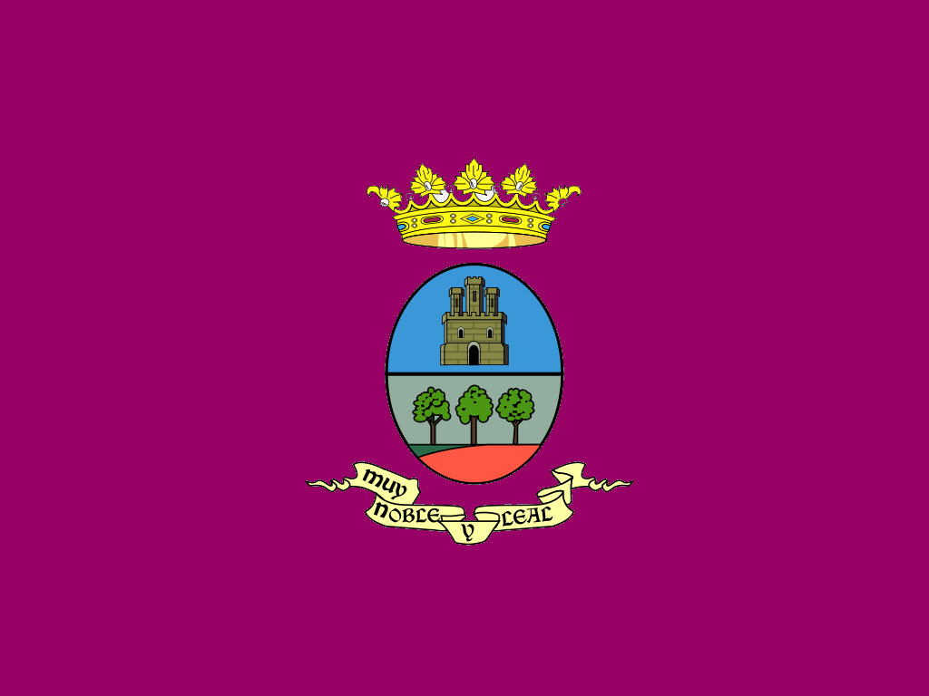 Bandera de Villarrobledo
