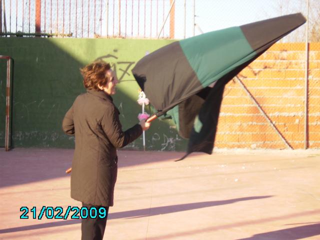 Bandera de Villaverde y Pasaconsol
