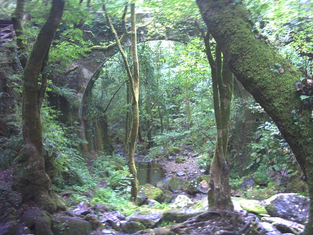 Imagen de A Capela mapa 15568 3 
