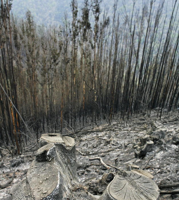 Imagen de A Capela mapa 15568 4 