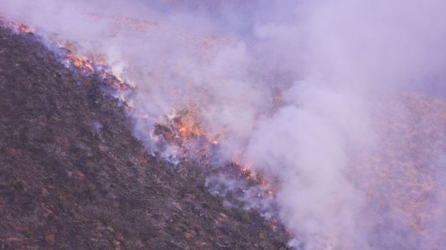 Imagen de A Mezquita mapa 32549 6 