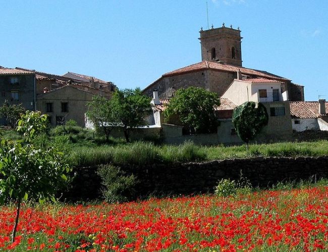 Imagen de Abejuela mapa 44422 2 