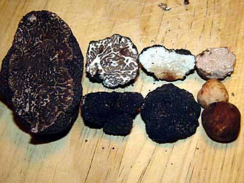 Imagen de Abejuela mapa 44422 5 