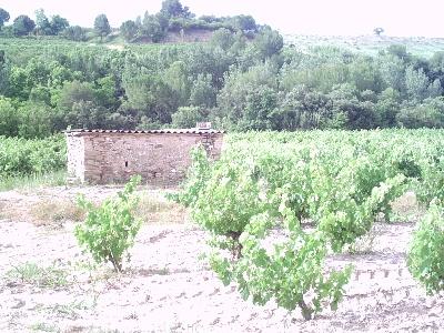 Imagen de Abrera mapa 08630 5 