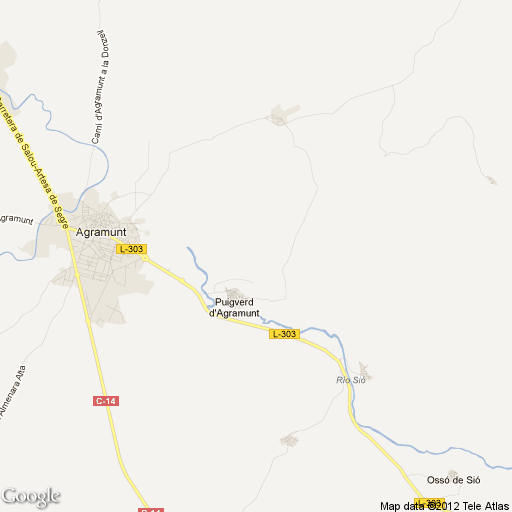 Imagen de Agramunt mapa 25310 2 