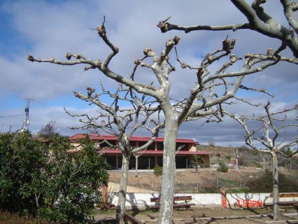 Imagen de Aguarón mapa 50408 4 