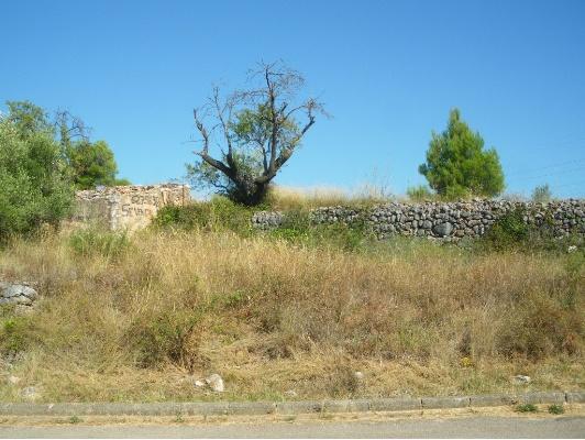 Imagen de Aiguamúrcia mapa 43815 4 