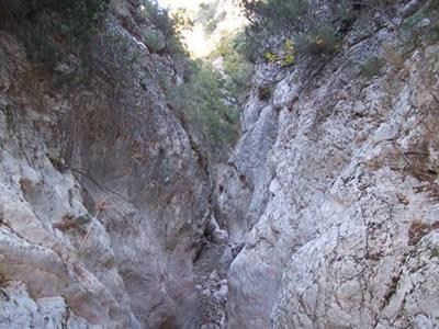 Imagen de Aladrén mapa 50481 6 