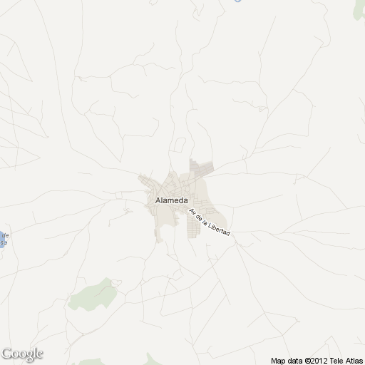 Imagen de Alameda mapa 29530 4 