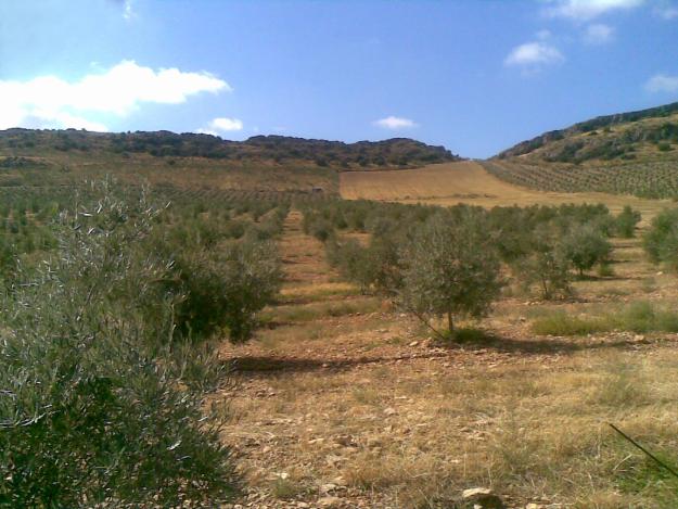 Imagen de Alamedilla mapa 18520 4 