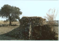 Imagen de Alamillo mapa 13413 5 