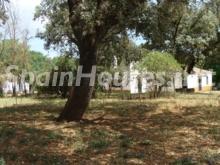 Imagen de Alanís mapa 41380 6 