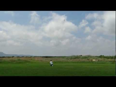 Imagen de Albalat de la Ribera mapa 46687 5 