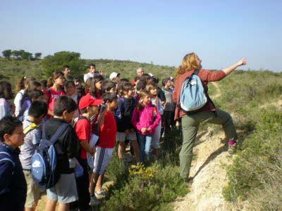 Imagen de Albalate de Cinca mapa 22534 6 