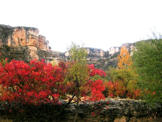 Imagen de Albalate de las Nogueras mapa 16841 1 