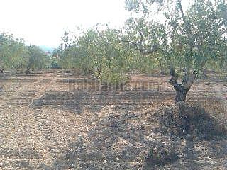 Imagen de Albinyana mapa 43716 4 